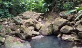 Tour Wandern Bouillante - Aquarando Rivière Losteau - Rivière Espérance - Photo 4