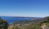 Tour Wandern Le Lavandou - les hauts de cavalière - Photo 2