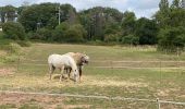 Tour Wandern Profondeville - Sept Meuse Profondeville  21,4 km - Photo 9