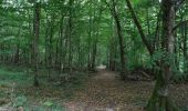 Tour Wandern Château-Thierry - Château Thierry par Brasles du 03/09/2020 - Photo 2