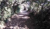 Trail Walking Saint-Saturnin-lès-Avignon - St Saturnin d Avignon  Gadagne 84 - Photo 6