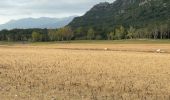 Trail Walking Darnius - Lac Boadella vers centrale. - Photo 20