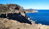 Tour Wandern Banyuls-sur-Mer - 08 novembre 2023 Banyuls-sur-Mer  - Photo 1