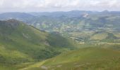 Tour Wandern Albepierre-Bredons - Le Plomb du Cantal - Photo 15