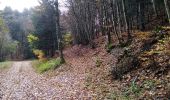 Trail Walking Sentheim - Montori - Photo 6