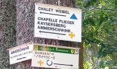 Tour Wandern Kaysersberg-Vignoble - Aubure - Chalet Weibel (12/08/2021) - Photo 1