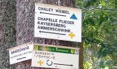 Trail Walking Kaysersberg-Vignoble - Aubure - Chalet Weibel (12/08/2021) - Photo 1