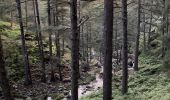 Randonnée Marche Quenza - Col de Bavella-Conca Étape GR - Photo 18