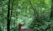 Trail Walking Houyet - Gendron-gare août 2025 - Photo 11