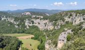 Randonnée Marche Vallon-Pont-d'Arc - Rando Châmes Ardèche - Photo 1