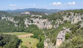 Trail Walking Vallon-Pont-d'Arc - Rando Châmes Ardèche - Photo 1