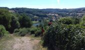 Trail Walking Saint-Martin-du-Puy - Montcrecon -lac de Crescent - Chalaux - 7/2020 - Photo 5