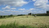 Trail Walking Franqueville-Saint-Pierre - 20200520-Le Faulx - Photo 11