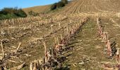 Tocht Stappen Gerpinnes - Wagnèe Fromiée  - Photo 17