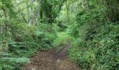 Tocht Stappen Pont-l'Abbé - kervazegan - Photo 1