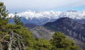 Tocht Stappen Levens - Crête du Ferion par Levens  - Photo 2