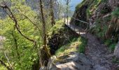 Trail Walking Stosswihr - Stosswihr L'Altenberg Le Sentier des Roches - Photo 7