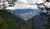 Tour Wandern Büssing - Source de la Moselle - Col de Bussang - Cuisine du Diable - Tête des Perches avec vue Lac des Perches - Photo 13