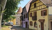 Tour Wandern Kaysersberg-Vignoble - Du ⛺️ aux 4 villages - Photo 11