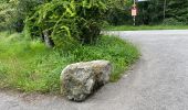 Tocht Te voet Neuchâtel - Neuchâtel Cadolles - Ch. de la Châtelainie - Photo 10