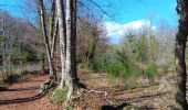 Randonnée Marche Santa Pau - la Garrotxa : volcan Santa Margarida et volcan de Croscat - Photo 14