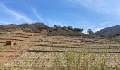 Tocht Stappen Collioure - Collioure col de serre dans les vignes  - Photo 4