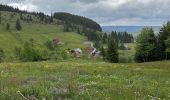 Trail Walking Feldberg - Neuglashütten -Feldberg - Photo 19