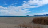 Tocht Stappen Argelès-sur-Mer - mas larrieu - argeles / l hiver - Photo 15