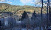 Trail Walking Rochesson - cascade de Battion  - Photo 4