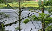 Randonnée Marche Xonrupt-Longemer - Tour des lacs de Longemer et Retournemer et cascades - Photo 4