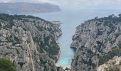 Trail Walking Cassis - Belvédère d’En Vau - Photo 1
