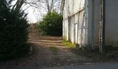 Percorso Trekking con gli asini Vouvray - ballade dans les vignes - Photo 1