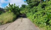 Trail Walking Le Lorrain - Boucle Vallon - Moreau - Carabin - Chemin Etoile - Photo 6