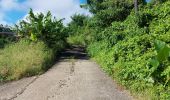 Excursión Senderismo Le Lorrain - Boucle Vallon - Moreau - Carabin - Chemin Etoile - Photo 6