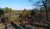 Trail Walking Fontainebleau - viennes carosses - Photo 3