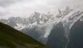 Randonnée Marche Les Houches - Parc Animalier Merlet - Chalets de Chailloux - Aiguillettes des Houches - Photo 2