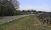 Trail Walking Ordonnac - Petit tour dans le vignoble Médocain - Photo 2