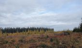 Tour Wandern La Roche-en-Ardenne - rando samrée 13/11/2020 - Photo 17