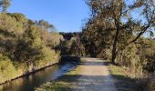 Excursión Senderismo Fontaine-de-Vaucluse - Ballade le long du canal de Carpentras  - Photo 15