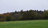 Tour Wandern Sprimont - 20241021 - Banneux 6.5 Km - Photo 10