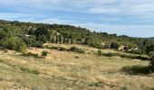 Trail Horseback riding Lauris - Provence 2025 J1 - Photo 16