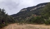 Percorso Marcia Duilhac-sous-Peyrepertuse - boucle moulin de ribaute - duilhac - gorge du verdouble  - Photo 4