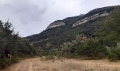 Trail Walking Duilhac-sous-Peyrepertuse - boucle moulin de ribaute - duilhac - gorge du verdouble  - Photo 4