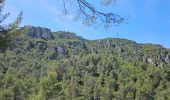 Trail Walking Belgentier - Pas de Belgentier  - Photo 3
