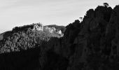 Tour Wandern Mandelieu-la-Napoule - Mandelieu - Chapelle St Jean - Baisse Violette - Suvières - Marsaou - Col des 3 Termes - Oeufs de Bouc - Photo 1