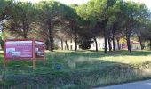 Trail On foot Montespertoli - Dolce campagna, antiche mura 1 - Photo 10