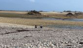 Randonnée Marche Pleubian -   Visite guidée sillon Talbert 6 km - Photo 3