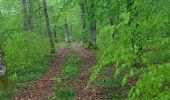 Tour Elektrofahrrad Saint-Clément - sortie vtt 01052023 buriville sous la pluie  - Photo 3