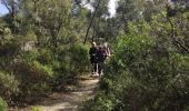 Tour Wandern Six-Fours les Plages - Notre dame du Mai - Photo 1