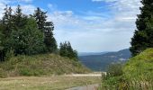 Excursión Senderismo Gex - Balade à Col de la Faucille, Gex - Photo 9